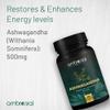 Ashwagandha 500mg 120 Tablets | Herbal Supplement | 100% Natural & Vegan | High Strength | Immunity Support | By Ambrosial view 2
