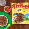 Kellogg's Coco Pops 295 g view 2