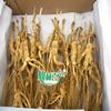 100 Grams (3.5 oz.) Dry Transplant Wild Ginseng Root Herbs, About 20 Years, Relative Integrity view 2