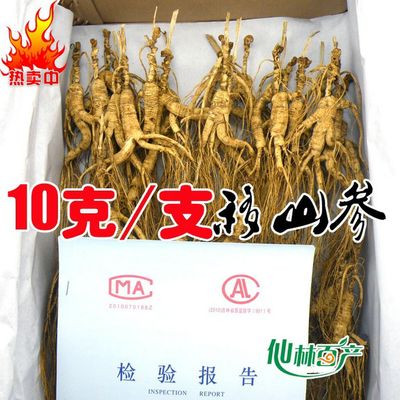 200 Grams (7 oz.) Dry Transplant Wild Ginseng Root Herbs, About 20 Years, Relative Integrity