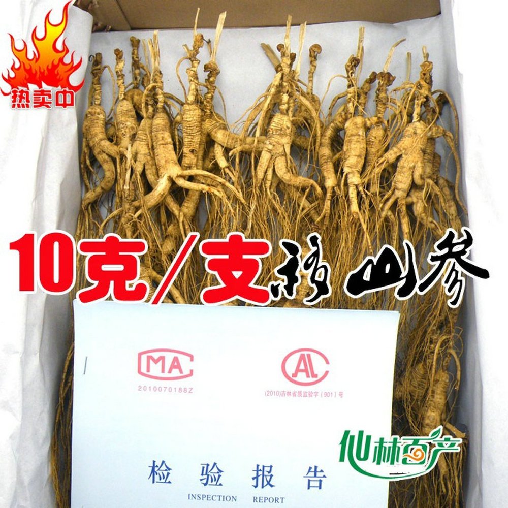 200 Grams (7 oz.) Dry Transplant Wild Ginseng Root Herbs, About 20 Years, Relative Integrity
