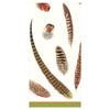 2 Packs Pheasant Feathers Ivory Fasian Caspari Paper Pocket Handbag Tissues - view 1