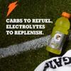 Gatorade Frost Thirst Quencher Variety Pack, 20 Ounce Bottles (Pack of 12) view 2