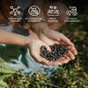 LOOV Wild Blueberry Juice Organic, 500 ml, Wild-Crafted from Nordic Forests, High in Antioxidants, 100% from Directly Pressed Blueberries, Not from Concentrate, No Water Added, No Added Sugar view 4