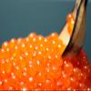400g Caviar Salmon CHUM KETA IKRA Ikura KAVIAR Quality view 4
