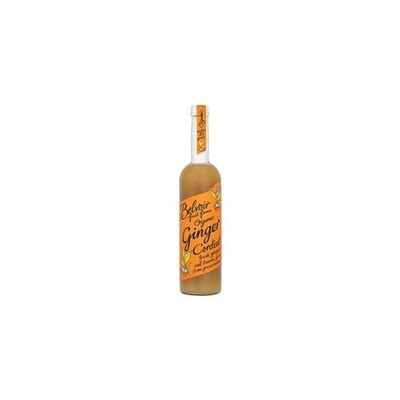 Organic Ginger Cordial (500ml) - x 2 *Twin DEAL Pack*