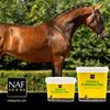 NAF Vitamin E and Selenium 1kg  Antioxidant Supplement for Horses  Supports Muscle Function, Recovery & Immunity  Ideal for Horses in Work or Low-Grazing Conditions view 3