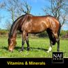 NAF Vitamin E and Selenium 1kg  Antioxidant Supplement for Horses  Supports Muscle Function, Recovery & Immunity  Ideal for Horses in Work or Low-Grazing Conditions view 4