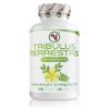 Big Sale - Nutriodol Tribulus Terrestris 750mg  High Strength Standardised to 95% Saponins | 240 Vegan Capsules | Pure Botanical Extract  No Proprietary Blends | Gym & Wellness Stack | UK-Compliant view 1