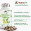 Big Sale - Nutriodol Tribulus Terrestris 750mg  High Strength Standardised to 95% Saponins | 240 Vegan Capsules | Pure Botanical Extract  No Proprietary Blends | Gym & Wellness Stack | UK-Compliant view 3