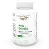 Vita World Kelp Extract 500Mg 120 Capsules Made in Germany view 1