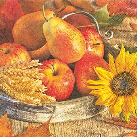 20 Napkins-Erntedankfest Thanksgiving / Autumn Fruits 33 x 33 CM