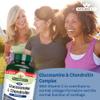 Natures Aid Glucosamine and Chondroitin Complex, with Vitamin C, Rosehip, Ginger and Turmeric, 180 Capsules view 2