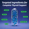 Thyroid Support Supplement for Women and Men - Energy & Focus Formula - Vegetarian & Non-GMO - Iodine, Vitamin B12 Complex, Zinc, Selenium, Ashwagandha, Copper, Coleus Forskohlii, & More 30 Day Supply view 4