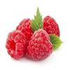 Simply Delish, Sugar-Free Jelly Dessert - Vegan, Gluten and Fat-Free, Raspberry Flavour - Pack of 24, Keto Friendly Sweets view 4