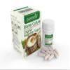 Bulgarian Starter Culture for Traditional Yogurt - Natural - 10 Capsules for 20 liters view 1