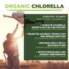 Chlorella Powder | Organic | 200g | Cracked Cell Wall | Energy & Natural Detox | High in Vitamin A, B12 & Iron | MySuperfoods view 4