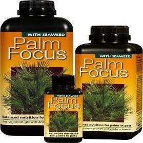 3x 100ml Palm Focus Bottles