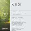 Krill Oil (Pot of 60 Capsules) view 4