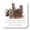 ButtonChocs Easter Chocolate Standing Bunny. Belgian Milk Chocolate Easter Gift. view 4