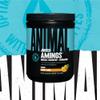 ANIMAL Juiced Aminos Orange  EAA & BCAA Powder for Muscle Regeneration & Recovery  Caffeine-Free Amino Acid Supplement for Fitness, Bodybuilding & Intensive Training, 384 g view 2
