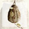 Salumificio Rossi - Culatello di Zibello DOP, peeled, vacuum packed (1,6-2,2Kg) - half view 3