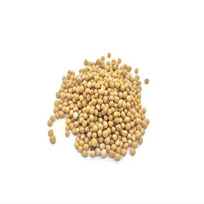 Yellow Mustard Seeds, (50g)