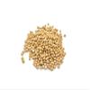 Yellow Mustard Seeds, (50g) view 1