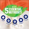 Alpro Almond Drink - No Sugars - Unsweetened Plant-Based Long Life Dairy Free & Lactose Free Milk Alternative - 1L (Pack of 8) view 3