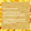 INNOPURE CoQ10 Supplement - 90 Capsules - 3 Month Supply - Each Capsule Providing 100mg of Pure Coenzyme Q10, Naturally Fermented, Vegan Approved - High Strength - Made in The UK view 4