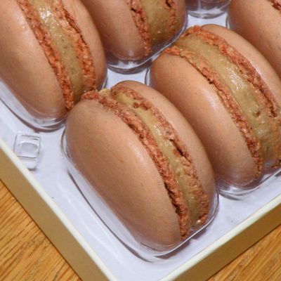 Ilze's Chocolat Box of 9 Hazelnut Macaroons with Real Hazelnut Buttercream