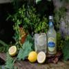 Fentimans Victorian Lemonade 275ml x 4 view 4