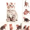 20 Serviettes Meow - Playful Cat/Animals/Animal Motif 33 x 33 cm view 1