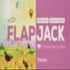 Brynmor flapjacks| Pecan | 20 x 80g view 1