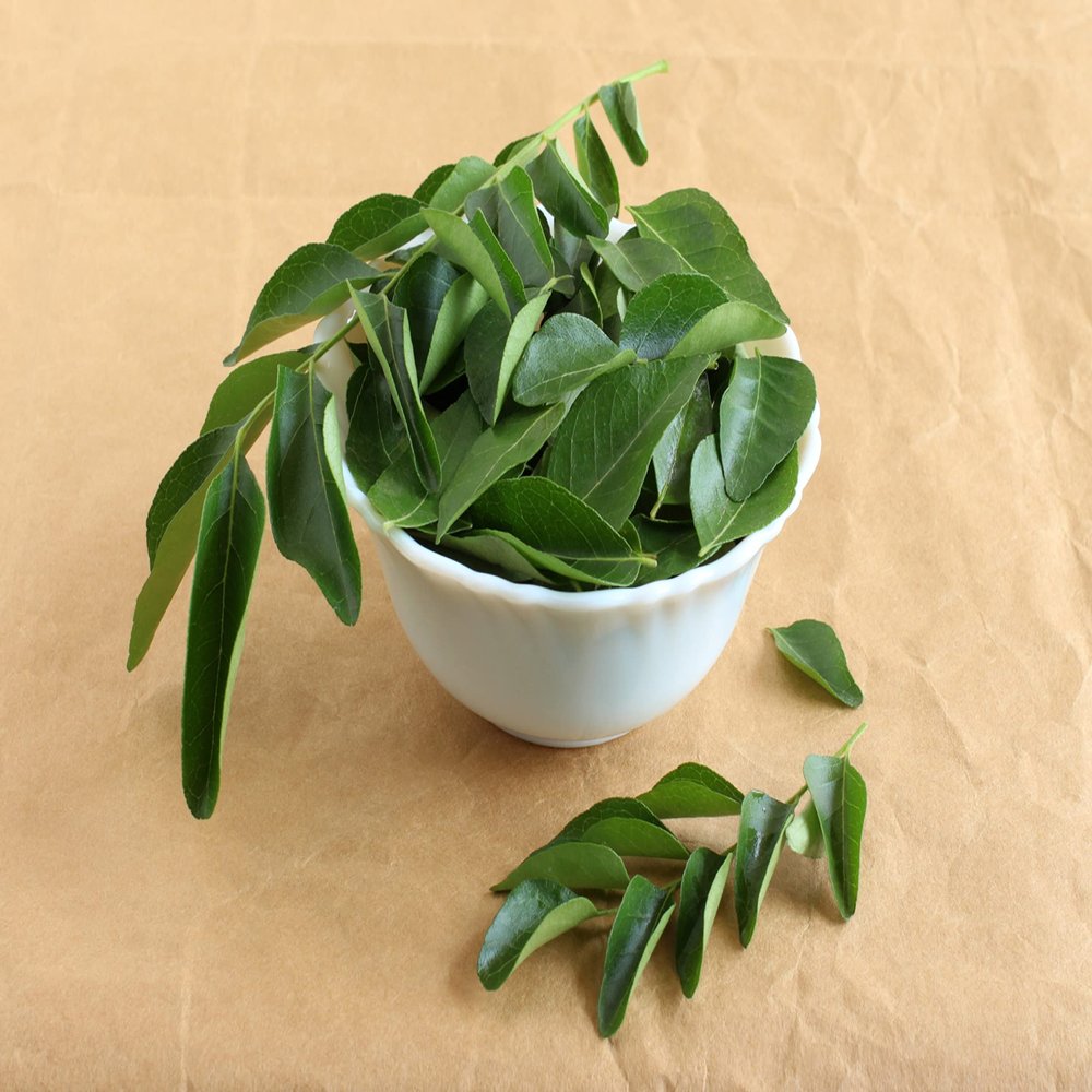 FRESH CURRY LEAVES (1 Pack)