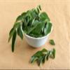 FRESH CURRY LEAVES (1 Pack) view 1
