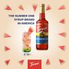 Torani Watermelon Syrup Gift Set (4 x 750ml) - Pure Cane Sugar Syrups for Lemonade, Cocktails, Mocktails, Iced Tea or Frozen Drinks, Vegetarian-Friendly view 4