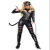 Adult Cat Fight Sexy Costume view 1