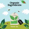 (2 Pack) - Clipper - Pure Green Tea | 80 Bag | 2 PACK BUNDLE view 3