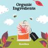 (4 PACK) - Clipper - Organic Infusion Redbush | 80 Bag | 4 PACK BUNDLE view 3