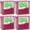 (4 PACK) - Floradix - Lemon Balm Organic Herbal Tea | 15 Bag | 4 PACK BUNDLE view 1