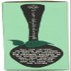 (10 PACK) - Clipper - Organic Peppermint | 20 Bag | 10 PACK BUNDLE view 3