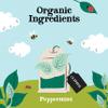 (12 PACK) - Clipper - Organic Peppermint | 20 Bag | 12 PACK BUNDLE view 3