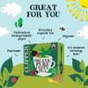 (10 PACK) - Clipper - Pure Green Tea | 80 Bag | 10 PACK BUNDLE view 2