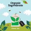 (10 PACK) - Clipper - Pure Green Tea | 80 Bag | 10 PACK BUNDLE view 3