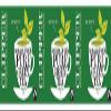 (3 PACK) - Clipper - Pure Green Tea | 80 Bag | 3 PACK BUNDLE view 1