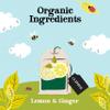 (3 PACK) - Clipper - Organic Lemon & Ginger | 20 Bag | 3 PACK BUNDLE view 3