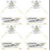 (4 PACK) - Belvoir - Organic Elderflower Presse | 250ml | 4 PACK BUNDLE view 1