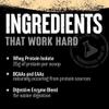 ANIMAL Isolate Whey Protein Powder (Chocolate)  with 25g Protein & 4.6g BCAAs for Muscle Building, Protein Shake with isolates & Various Amino acids  2,3kg view 3