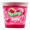 12 X HARTLEYS RTE JELLY RASPBERRY 125g (12 PACK BUNDLE) view 1